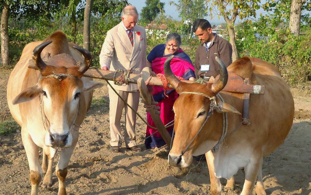 Prince Charles and environmentalist Vandana Shiva in the field during his visit to Navdany`s Earth University (Bija Vidyapeeth) biodiversity conservation farm, Ramgarh in Dehradun.
