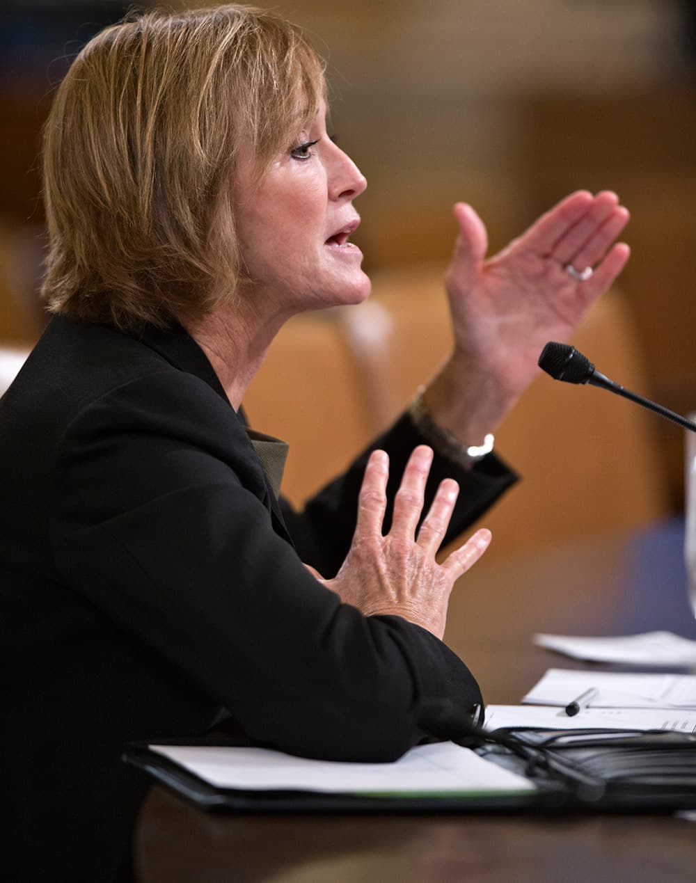 Marilyn Tavenner, the administrator of the Centers for Medicare and Medicaid Services, testifies on Capitol Hill in Washington.