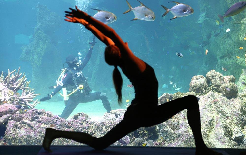 Vivien Speers, front, assists instructor Sasha Hawley, back, instruct a yoga class at the Sydney Sea Life Aquarium in Sydney.