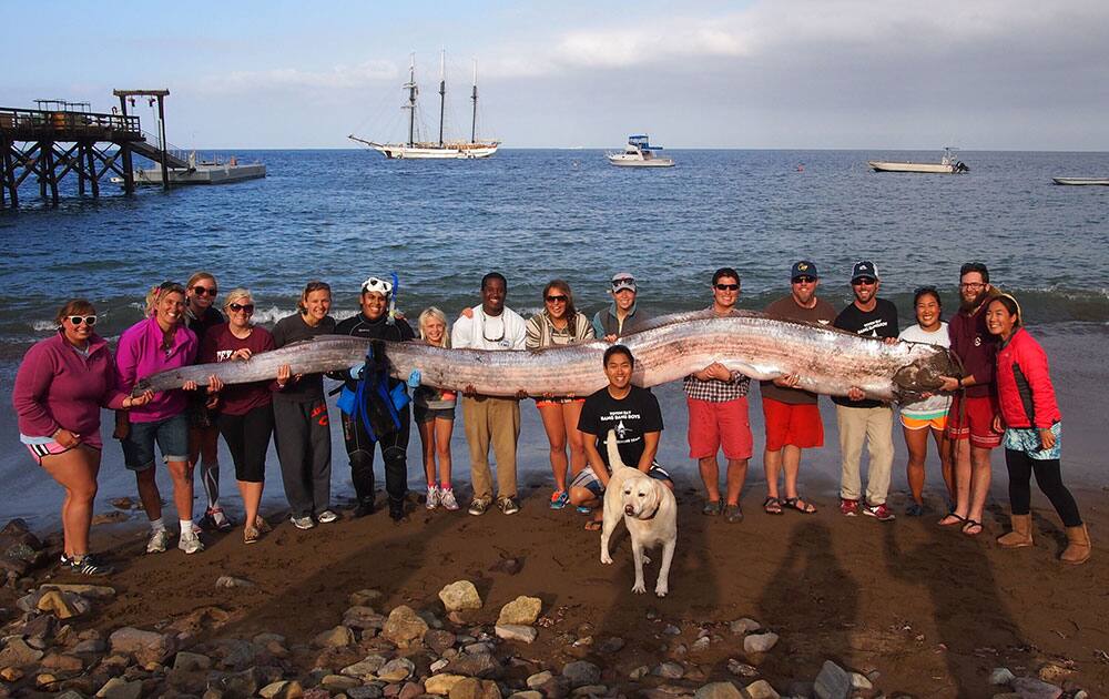 This photo released courtesy of the Catalina Island Marine Institute, shows the crew of sailing school vessel Tole Mour and Catalina Island Marine Institute instructors holding an 18-foot-long oarfish that was found in the waters of Toyon Bay on Santa Catalina Island, Calif.