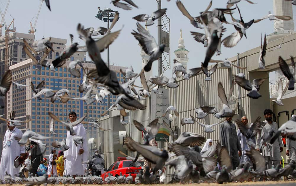 Pigeons fly around Muslim pilgrims leaving the noon prayers outside the Grand Mosque in the Muslim holy city of Mecca, Saudi Arabia.