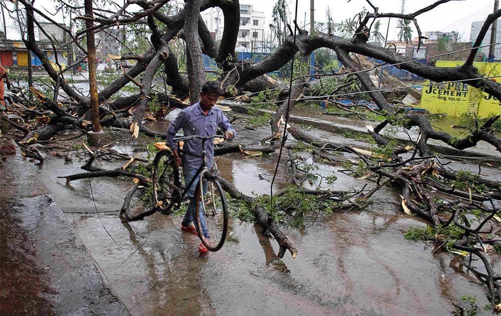 An Indian man with his bicycle makes his way through uprooted trees fallen during Cyclone Phailin on a road in Berhampur.