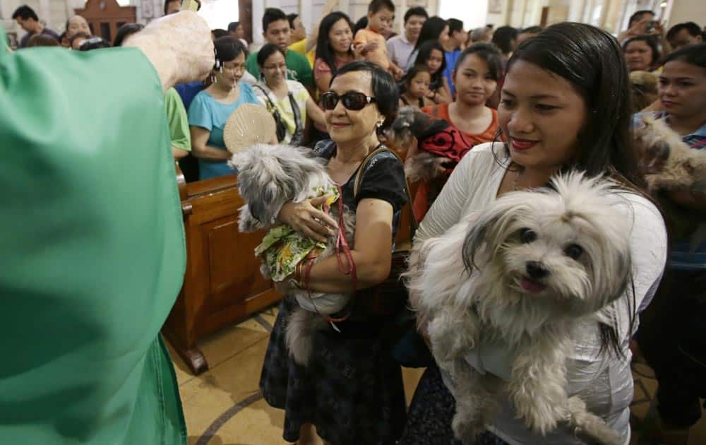 Roman Catholic devotees queue up to have their pets blessed by a Catholic priest following a mass in celebration of the feast day of Saint Francis of Assisi, in Manila.