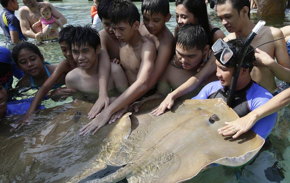 Filipino disabled children are helped by trainers to touch and feel stingrays during their interaction with the sea creatures, at the Manila Ocean Park.