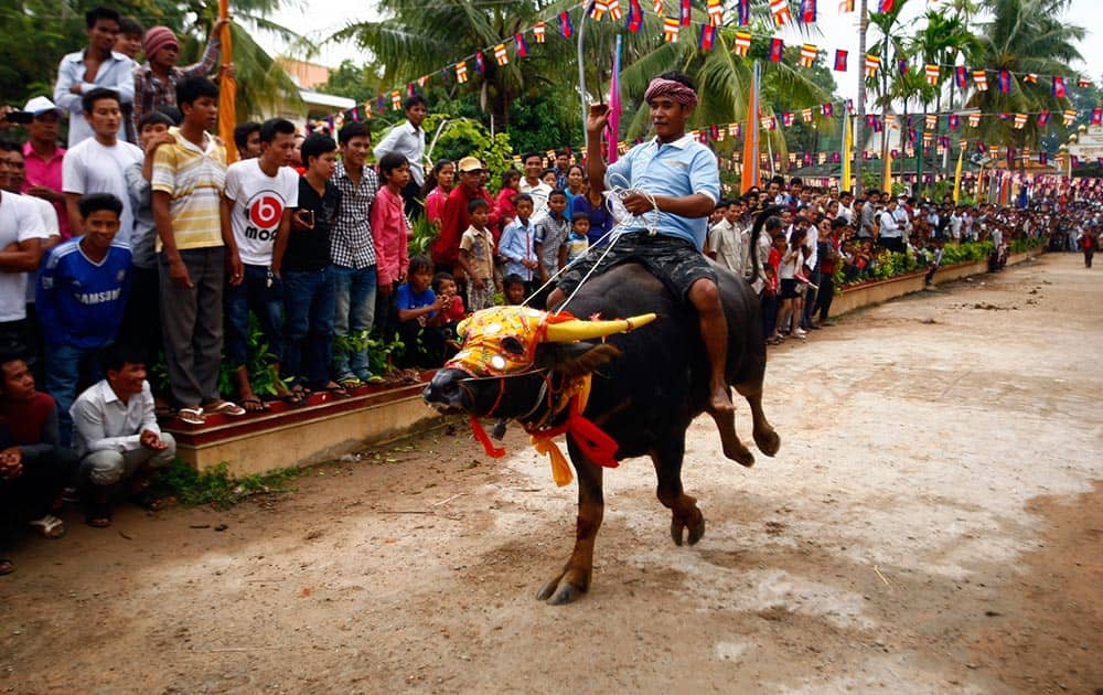 A Cambodian rides a water buffalo during a race at Preah Vihear Sour pagoda in Kandal province, northeast of Phnom Penh, Cambodia.
