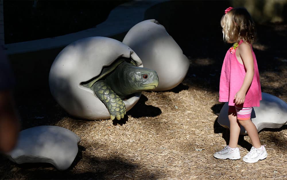 Brooklynn Wirth, 4, looks at a giant turtle shell display at the Rory Meyers Children`s Adventure Garden at the Dallas Arboretum, in Dallas.