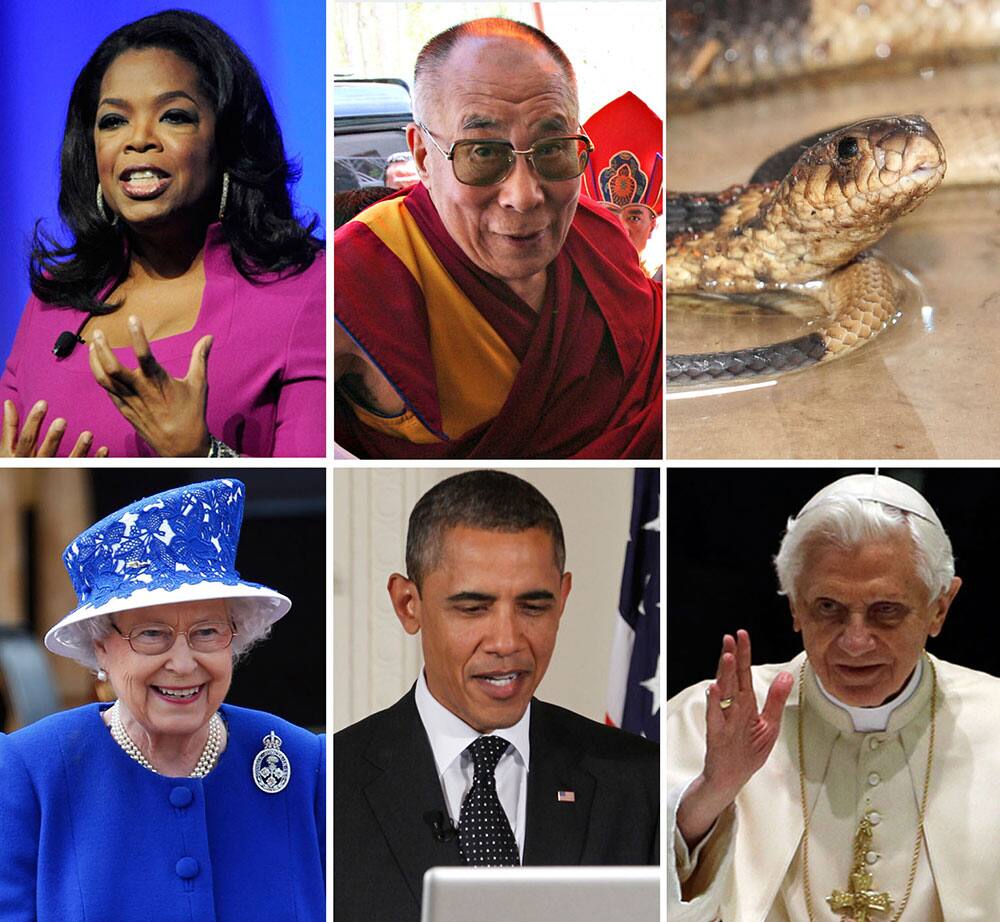 From top left,Oprah Winfrey, the Dalai Lama, the Bronx Zoo’s once missing Egyptian Cobra, Britain`s Queen Elizabeth II.. President Barack Obama, and Pope Benedict XVI. In the seven years since its founding, Twitter has grown from an obscure medium for geeks to a worldwide messaging service used by everyone from heads of state to celebrities, revolutionaries to companies trying to hawk their products.