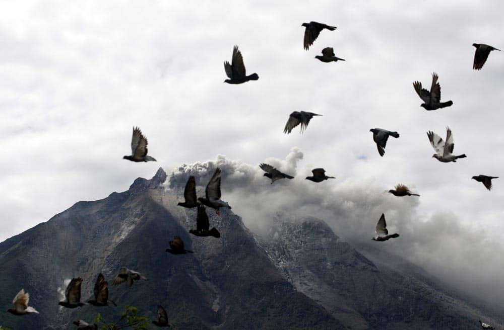 Pigeons fly by as Mount Sinabung spews volcanic materials following its eruption in Karo, North Sumatra, Indonesia.