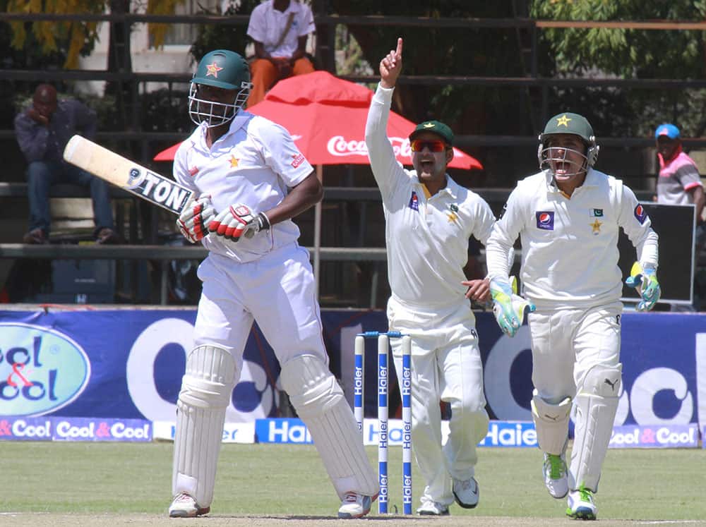 Pakistan players, right, celebrate the wicket of Zimbabwean batsman Elton Chigumbura, left, after he was caught for 69 runs on the third day of the first Test match against Zimbabwe at Harare Sports Club in Harare.
