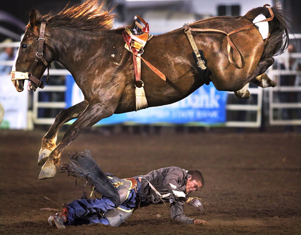 Cowboy Morgan Wilde is thrown to the arena dirt for a no-time in the bareback riding finals of the Walla Walla Fair and Frontier Days PRCA Rodeo in Walla Walla, Wash.