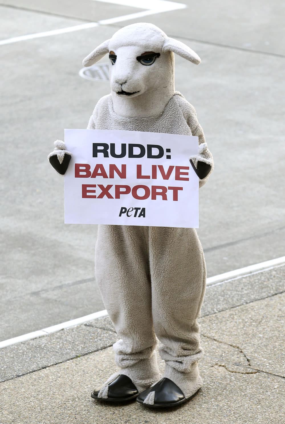 A member of PETA, People for the Ethical Treatment of Animals, protests outside the Brisbane Convention Centre during the Australian Labor Party`s campaign launch in Brisbane, Australia.