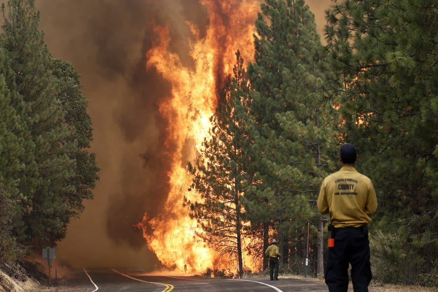 The Rim Fire burns along Highway 120 near Yosemite National Park, Calif., With winds gusting to 50 mph on Sierra mountain ridges and flames jumping from treetop to treetop, hundreds of firefighters have been deployed to protect this and other communities in the path of the Rim Fire raging north of Yosemite National Park.