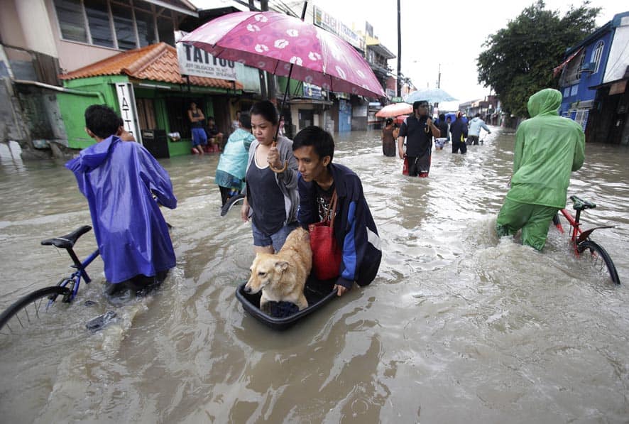 Filipino residents push their dog on top of a container across a flooded street in Las Pinas, south of Manila, Philippines.