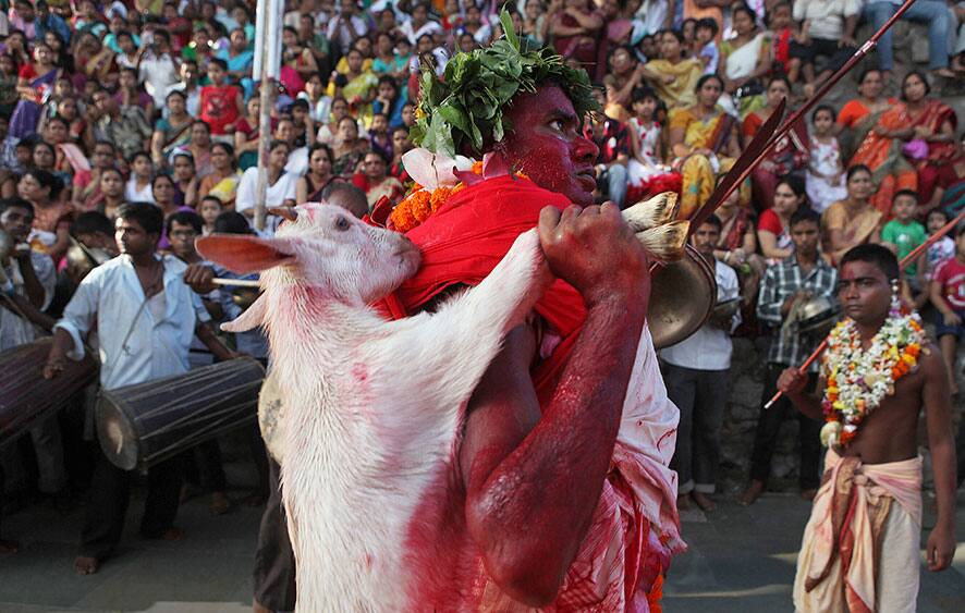 A Hindu priest, face smeared with color and sacrificial blood, carries a goat for sacrifice during the two day long Deodhani festival at Kamakhya temple in Gauhati.