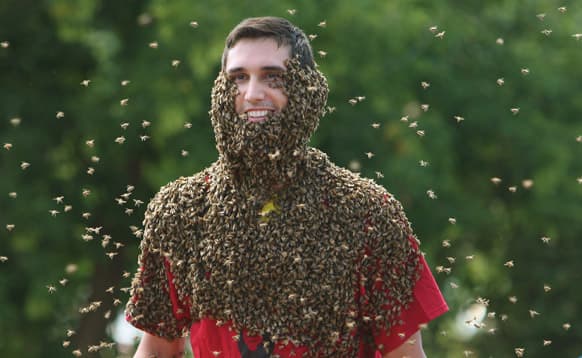 Patrick Boelsterli is surrounded by flying bees as he shows of his bee beard at an annual competition at Clovermead Adventure Farm.