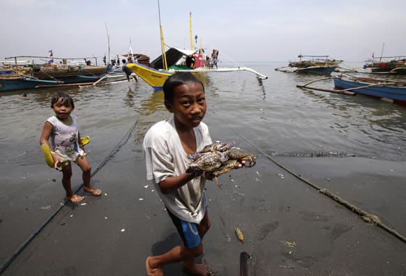 A boy shows the catch of crabs amidst the oil spill that reached the shores of Rosario township, Cavite province south of Manila, Philippines.