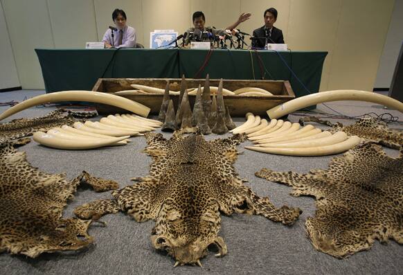 Vincent Wong, the Group Head of Ports and Maritime Command gestures during a press conference in Hong Kong. A shipment of illegal ivory, rhino horns and leopard skins worth $5.3 million was seized in Hong Kong`s second big bust of endangered species products in a month.