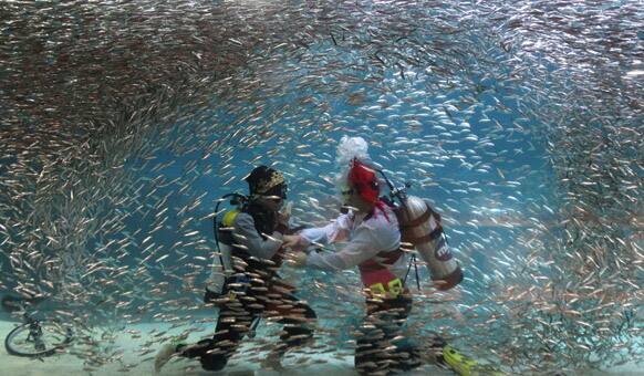 Dvers perform with sardines as part of summer vacation events at an Coex Aquarium in Seoul, South Korea.