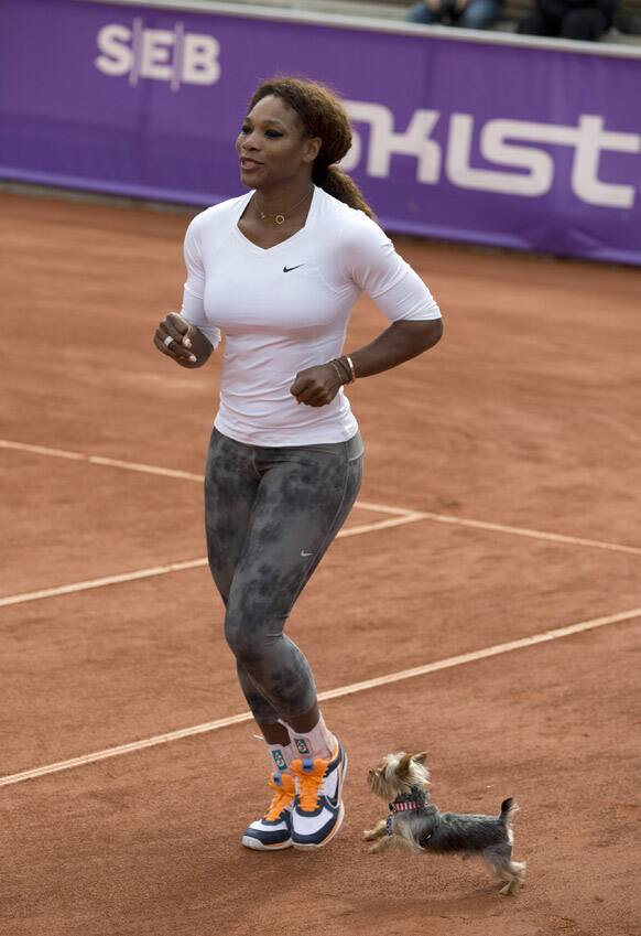 US tennis player Serena Williams warms up with her Yorkshire terrier Chip during a training session, prior to her participation in the Swedish Open Tennis tournament, in Bastad.