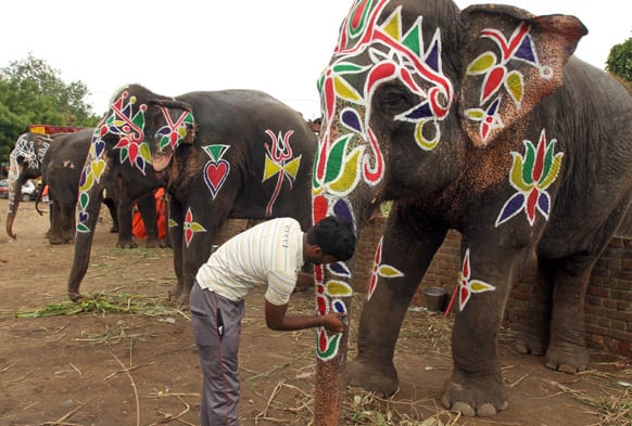 A man decorates an elephant with paint during preparations on the eve of annual Rath Yatra, or chariot procession, in Ahmadabad.