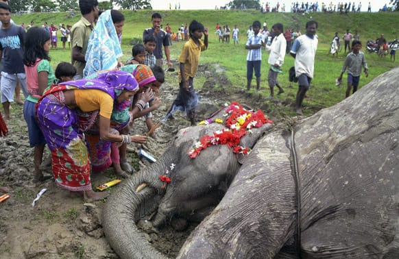 Villagers offer prayers to a dead elephant in Nagaon, in the eastern Indian state of Assam. The elephant was reportedly electrocuted while crossing an electric line.