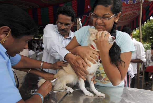 A woman gets her dog vaccinated at a free vaccination camp on World Zoonoses Day in Hyderabad. A zoonosis is a disease that is transmitted from animals to humans.