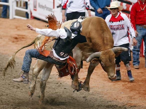 Tanner Byrne, from Prince Albert, Saskatchewan, comes off Cajun Shaker during bull riding at the Calgary Stampede in Calgary, Alberta.