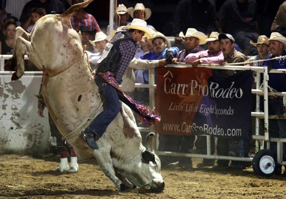 Elliot Jacoby rides his bull named Hustler for a 91 point ride during the third performance of the West of the Pecos PRCA Rodeo at the Buck Jackson Arena in Pecos, Texas.