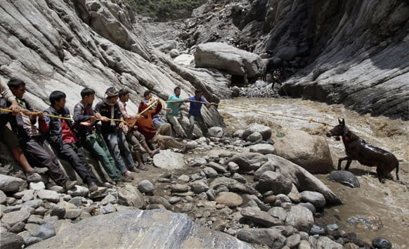 People rescue a pony with the help of a rope from the Mandakini river at Gauri Kund, in northern Indian state of Uttarakhand.
