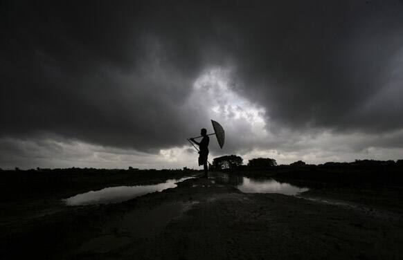 A buffalo herder holding a traditional handmade umbrella stands in a field to keep watch of his buffaloes as monsoon clouds hover above in Bhubaneswar.