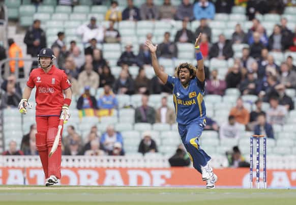 Sri Lanka`s Lasith Malinga appeals for lbw for England`s Alastair Cook which was turned down during their ICC Champions Trophy cricket match at the Oval cricket ground in London.