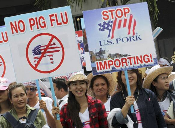 Thai demonstrators hold placards during a protest outside the government house in Bangkok. Hundreds of pig farmers from all parts of the country staged the protest against the government`s plan to import pork meat from the US claiming that it will destroy their business and lives.