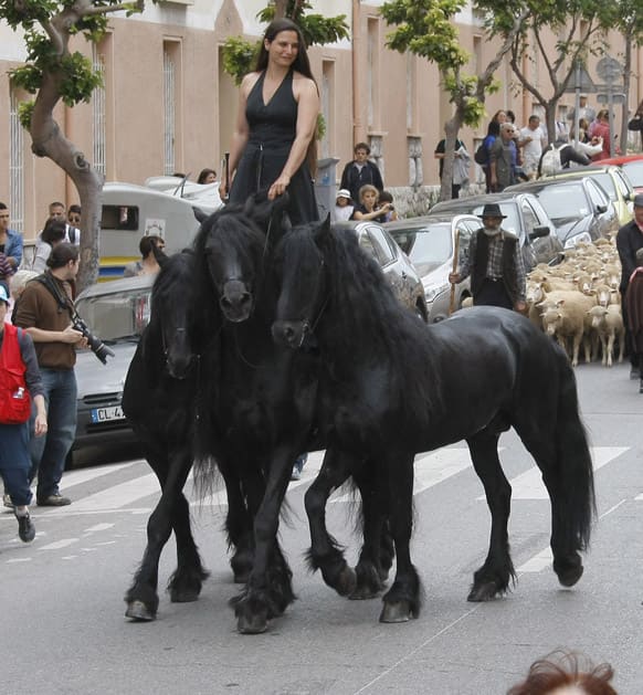 A horsewoman of the Theatre du Centaure stands on her horses and leads sheep during the grand finale of `Transhumance`, as part of `Marseille - Provence 2013, European capital of culture`, in Marseille, southern France.