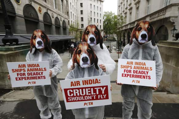 Supporters of PETA, People for the Ethical Treatment of Animals, protest outside the Indian High Commission in London against Air India lifting its ban on transporting animals to laboratories.