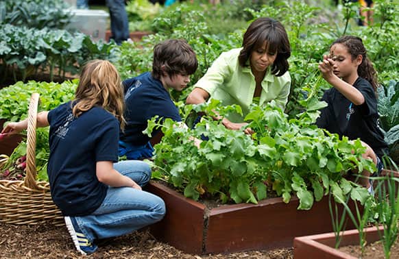 First lady Michelle Obama joins school children from Long Beach Island Grade School in Ship Bottom, N.J., from left, and second from left: Jordan Leeds, age 11, Joshua Styler-Tracy, age 11, and Madisyn Goias, age 10, to harvest the summer crop from the White House kitchen garden.