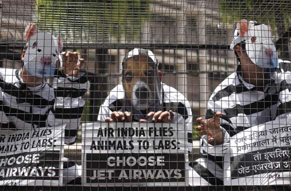 Activists of PETA crouch inside a cage as they wear prison uniforms, with masks of a dog, a rabbit and a rat during a protest in New Delhi. According to PETA`s press release, the protest was held against Air India`s decision to reverse its ban on transporting animals to laboratories.