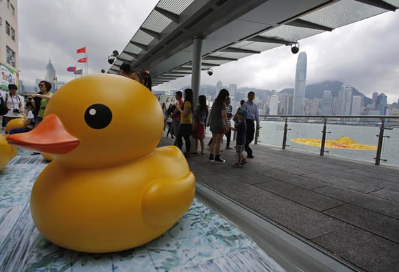 Visitors walk near a display model of Rubber Duck as they watch a deflated Rubber Duck, right, created by Dutch artist Florentijn Hofman in Hong Kong`s Victoria Harbor. The 16.5-meter (54-foot)-tall inflatable Rubber Duck which attracted visitors to the harbor, has been deflated since Tuesday evening.