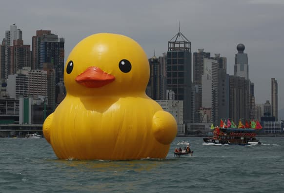 A giant Rubber Duck created by Dutch artist Florentijn Hofman is towed along Hong Kong`s Victoria Habour. Since 2007 the 16.5-meter (54-feet)-tall Rubber Duck has traveled to various cites including Osaka, Sydney, Sao Paulo and Amsterdam.