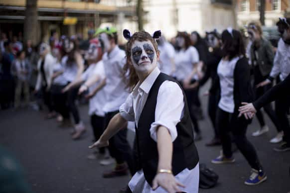 Activists with their faces painted like badgers dance to Brian May`s