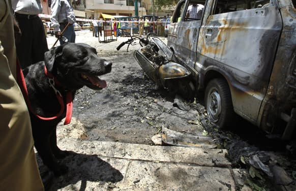 Police use a sniffer dog to collect evidence next to charred vehicles at the site of an explosion in a residential neighborhood near the office of Bharatiya Janata Party (BJP), in Bangalore.
