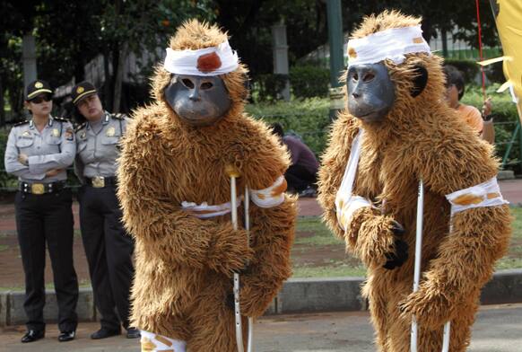 Activists dressed as injured orangutans take part in a protest demanding that Indonesian President Susilo Bambang Yudhoyono to take immediate action to save the animal outside the Presidential Palace in Jakarta.