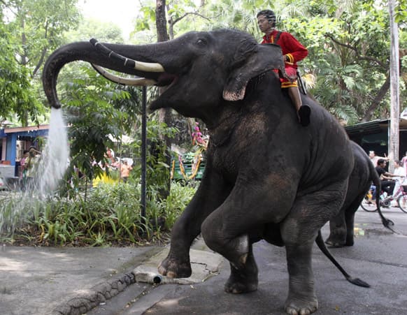Assisted by its mahout, an elephant blows water from its trunk ahead of the Songkran festival, Thai New Year celebration, at Dusit Zoo in Bangkok.