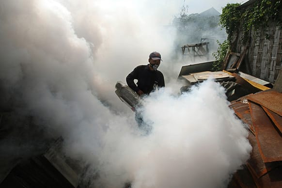 A health ministry worker sprays anti-mosquito fog as a preventive measure to control dengue fever, in Sidoarjo, East Java, Indonesia.