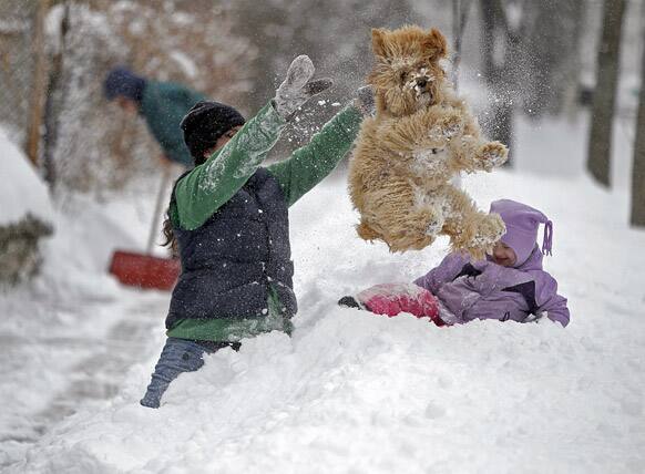 Lindsay Knutson plays in the heavy snow with her family dog, Aspen, and daughter Flora Bejblik, 4, cq, as her husband Bob Bejblik, rear left, shovels in southwest Minneapolis.