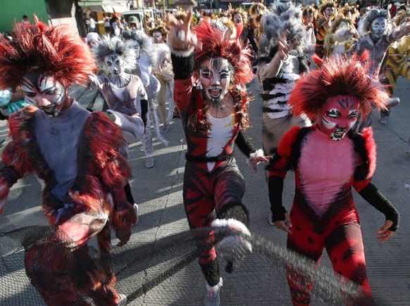 Filipino students dressed in cat costumes perform as they walk along a streets during the annual