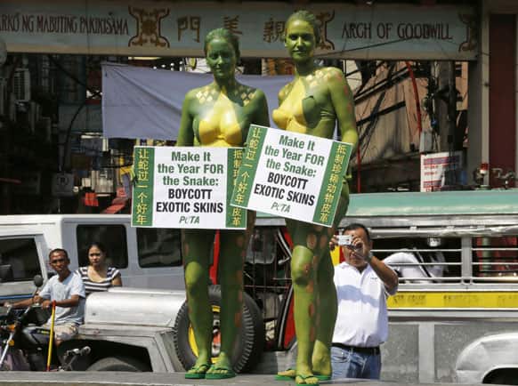 PETA members Vera Emrich of Germany and Ashley Fruno of Canada, with their bodies painted to look like snakeskin, display placards during a protest at Manila`s Chinatown district of Sta. Cruz ahead of Sunday`s Chinese New Year celebration in Manila.