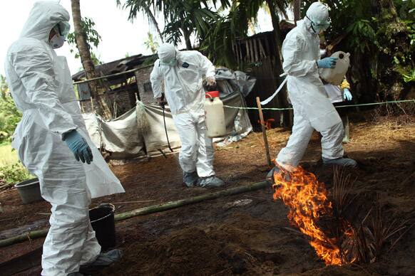 Health officials burn culled ducks after more than 1,000 ducks in the area died from bird flu, in Padang Pariaman, West Sumatra, Indonesia.