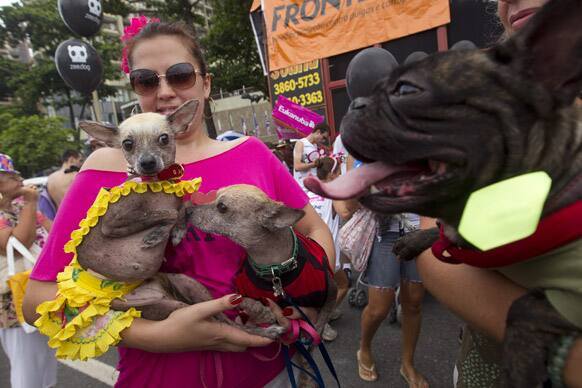 People carry their disguised dogs during the