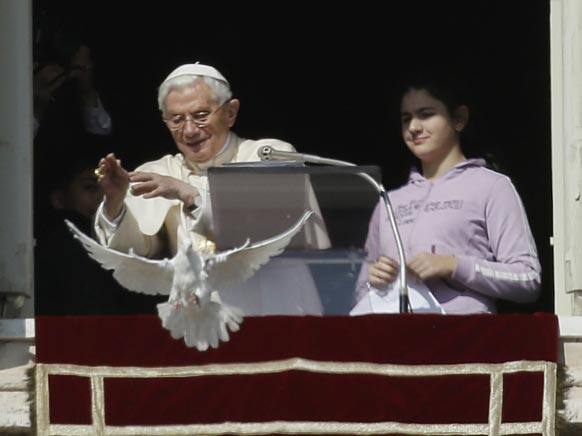 Pope Benedict XVI looks at a white dove that was freed at the end of the Angelus prayer in St. Peter`s square, at the Vatican.
