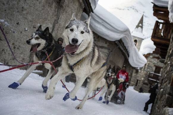 A musher competes with his dogs in Bonneval, French Alps, during the Grande Odyssee Sled Dog Race.